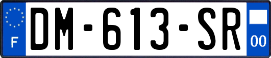 DM-613-SR