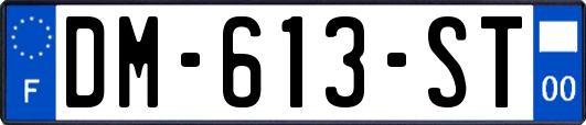DM-613-ST