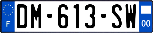 DM-613-SW