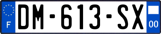 DM-613-SX