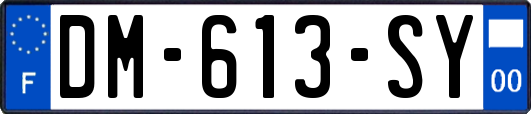 DM-613-SY