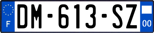 DM-613-SZ