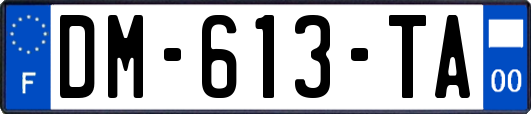 DM-613-TA