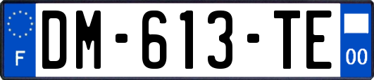 DM-613-TE