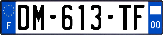 DM-613-TF