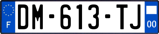 DM-613-TJ