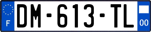 DM-613-TL