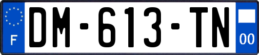 DM-613-TN