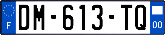 DM-613-TQ