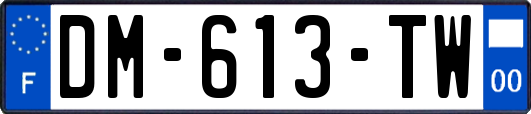 DM-613-TW