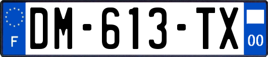DM-613-TX