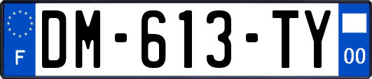 DM-613-TY