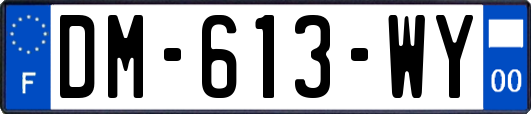 DM-613-WY