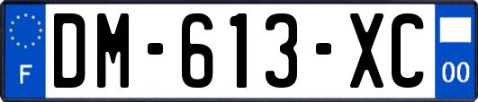 DM-613-XC