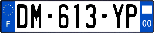 DM-613-YP