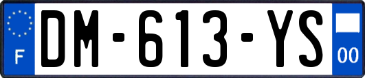 DM-613-YS