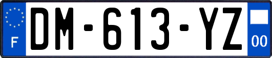 DM-613-YZ