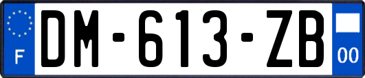 DM-613-ZB