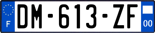 DM-613-ZF