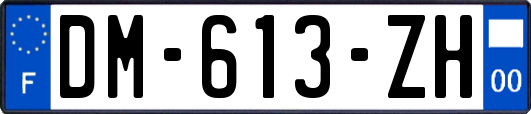 DM-613-ZH