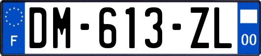 DM-613-ZL