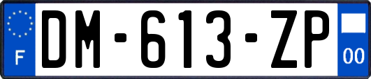 DM-613-ZP