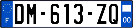 DM-613-ZQ