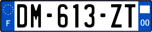 DM-613-ZT