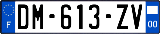 DM-613-ZV