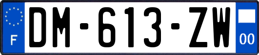 DM-613-ZW