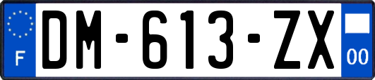 DM-613-ZX