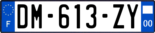 DM-613-ZY