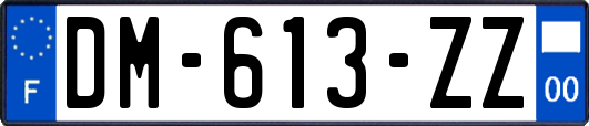 DM-613-ZZ