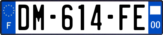 DM-614-FE