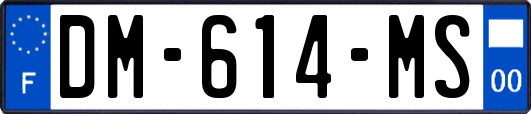 DM-614-MS