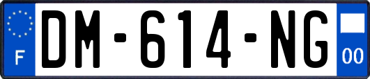 DM-614-NG