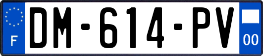 DM-614-PV