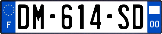 DM-614-SD
