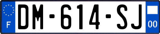 DM-614-SJ