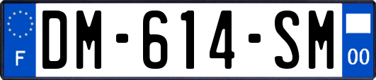 DM-614-SM