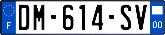 DM-614-SV