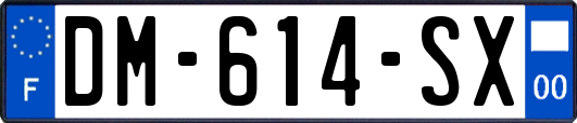DM-614-SX