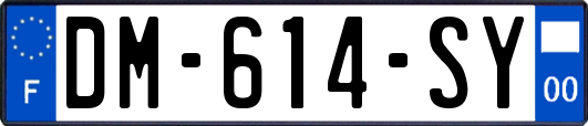 DM-614-SY