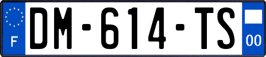 DM-614-TS