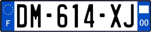 DM-614-XJ