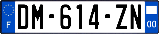 DM-614-ZN