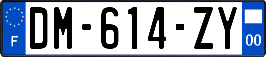 DM-614-ZY