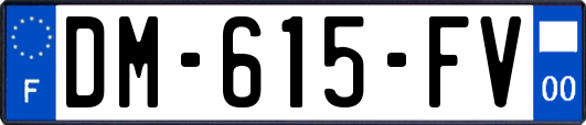 DM-615-FV