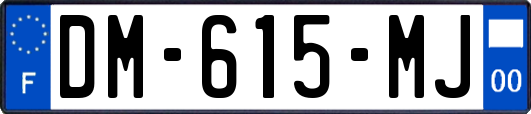 DM-615-MJ