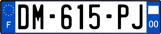 DM-615-PJ